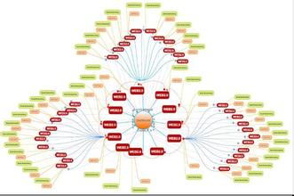 �㶫����齫��Ƶ���°���ͦ��ʵΪ����...